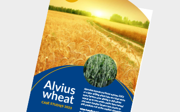 Alvius wheat case studies 2023
